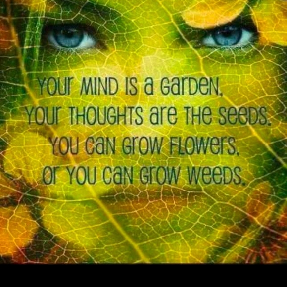 Lucky Brand Tee Tank Short & Pant Pajama Set Size: Medium - Picture 6 of 12